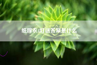 纸嫁衣4灯谜答案是什么