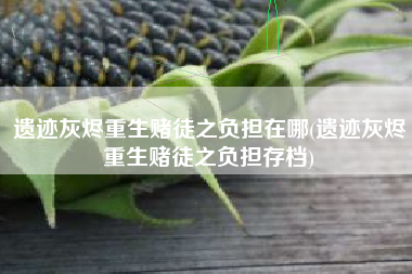 遗迹灰烬重生赌徒之负担在哪(遗迹灰烬重生赌徒之负担存档)