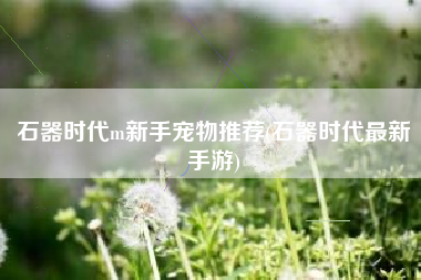 石器时代m新手宠物推荐(石器时代最新手游)