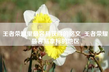 王者荣耀里最容易获得的铭文_王者荣耀最容易拿标的地区