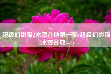 超级幻影猫2冰雪谷地第一关(超级幻影猫2冰雪谷地4-7)
