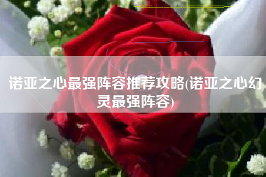 诺亚之心最强阵容推荐攻略(诺亚之心幻灵最强阵容)