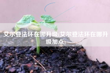 艾尔登法环在哪升级(艾尔登法环在哪升级加点)