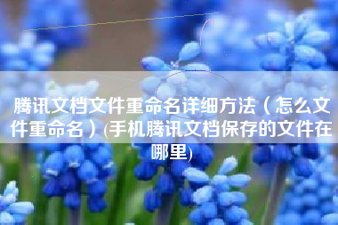 腾讯文档文件重命名详细方法（怎么文件重命名）(手机腾讯文档保存的文件在哪里)