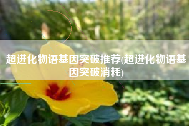 超进化物语基因突破推荐(超进化物语基因突破消耗)