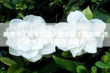 跑跑卡丁车手游龙之国度杯王赛攻略(跑跑卡丁车手游龙之运河)