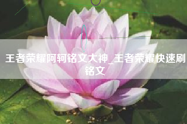 王者荣耀阿轲铭文大神_王者荣耀快速刷铭文