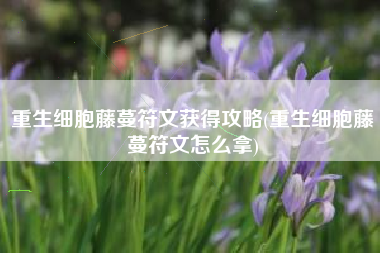 重生细胞藤蔓符文获得攻略(重生细胞藤蔓符文怎么拿)