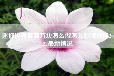 迷你世界复制方块怎么做怎么驯服冰熊2022最新情况