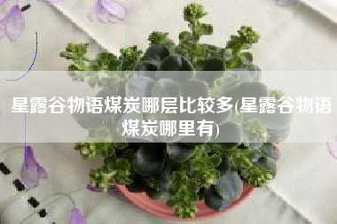 星露谷物语煤炭哪层比较多(星露谷物语煤炭哪里有)