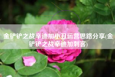金铲铲之战辛迪加小丑运营思路分享(金铲铲之战辛迪加刺客)