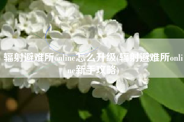 辐射避难所online怎么升级(辐射避难所online新手攻略)