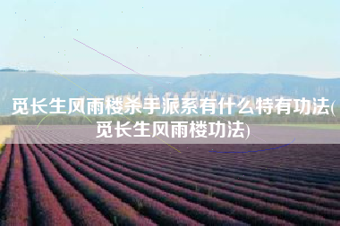 觅长生风雨楼杀手派系有什么特有功法(觅长生风雨楼功法)
