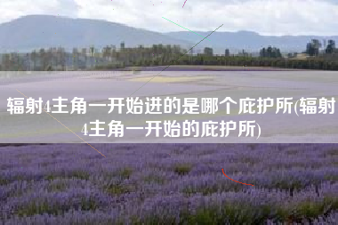 辐射4主角一开始进的是哪个庇护所(辐射4主角一开始的庇护所)