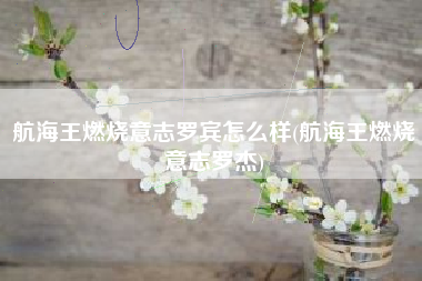 航海王燃烧意志罗宾怎么样(航海王燃烧意志罗杰)