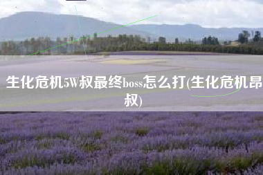 生化危机5W叔最终boss怎么打(生化危机昂叔)