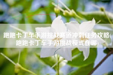 跑跑卡丁车手游挑战赛道冲刺任务攻略(跑跑卡丁车手游挑战模式在哪)