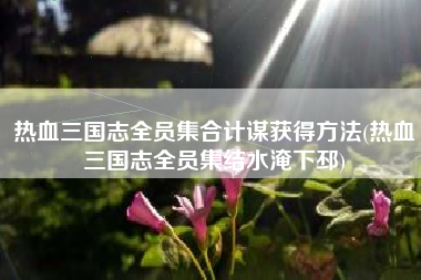 热血三国志全员集合计谋获得方法(热血三国志全员集结水淹下邳)