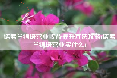 诺弗兰物语营业收益提升方法攻略(诺弗兰物语营业卖什么)