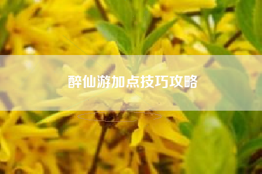 醉仙游加点技巧攻略