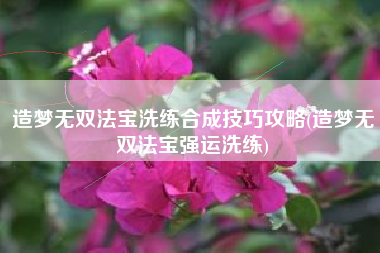 造梦无双法宝洗练合成技巧攻略(造梦无双法宝强运洗练)