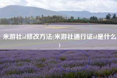 米游社id修改方法(米游社通行证id是什么)