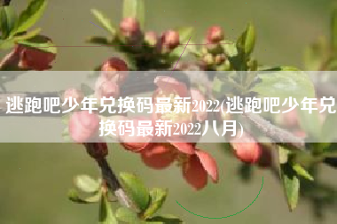 逃跑吧少年兑换码最新2022(逃跑吧少年兑换码最新2022八月)