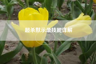 超杀默示录技能详解