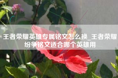 王者荣耀英雄专属铭文怎么换_王者荣耀纷争铭文适合哪个英雄用