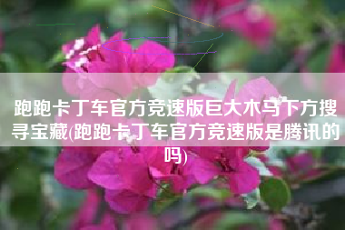 跑跑卡丁车官方竞速版巨大木马下方搜寻宝藏(跑跑卡丁车官方竞速版是腾讯的吗)