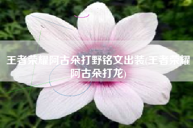 王者荣耀阿古朵打野铭文出装(王者荣耀阿古朵打龙)