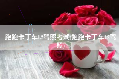 跑跑卡丁车L2驾照考试(跑跑卡丁车L2驾照)