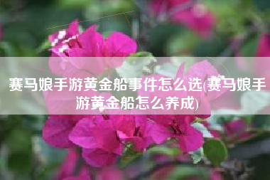 赛马娘手游黄金船事件怎么选(赛马娘手游黄金船怎么养成)
