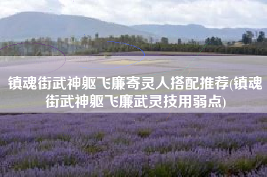 镇魂街武神躯飞廉寄灵人搭配推荐(镇魂街武神躯飞廉武灵技用弱点)