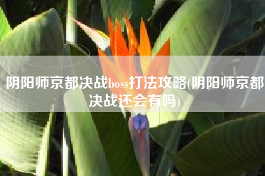 阴阳师京都决战boss打法攻略(阴阳师京都决战还会有吗)