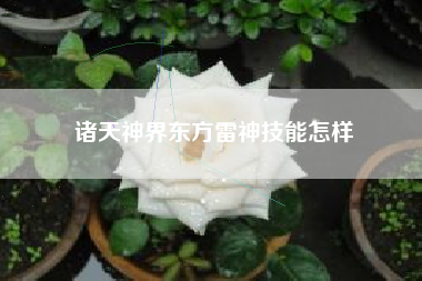 诸天神界东方雷神技能怎样