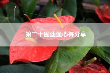 第二十圈速通心得分享