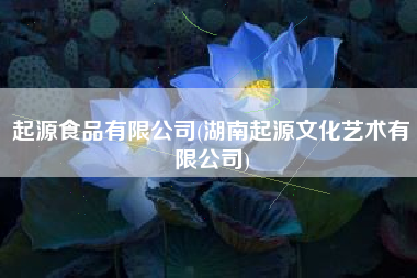 起源食品有限公司(湖南起源文化艺术有限公司)