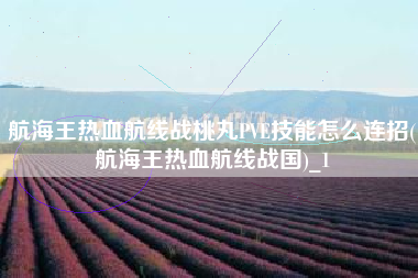 航海王热血航线战桃丸PVE技能怎么连招(航海王热血航线战国)_1