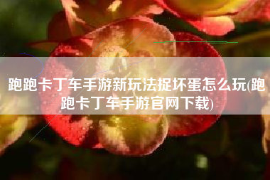 跑跑卡丁车手游新玩法捉坏蛋怎么玩(跑跑卡丁车手游官网下载)