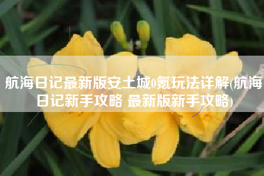 航海日记最新版安土城0氪玩法详解(航海日记新手攻略 最新版新手攻略)