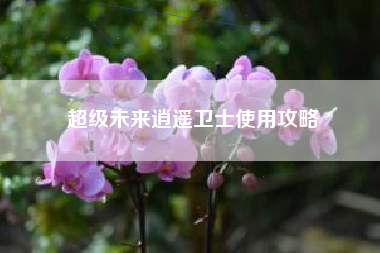 超级未来逍遥卫士使用攻略