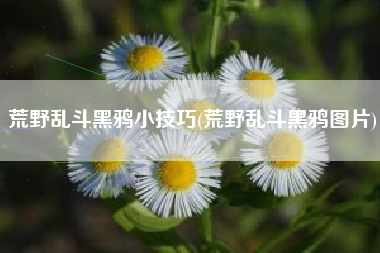 荒野乱斗黑鸦小技巧(荒野乱斗黑鸦图片)