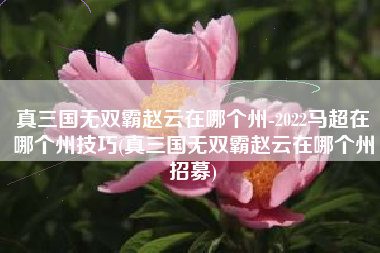 真三国无双霸赵云在哪个州-2022马超在哪个州技巧(真三国无双霸赵云在哪个州招募)