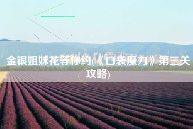 金银姐妹花等你约(《口袋魔力》第三关攻略)