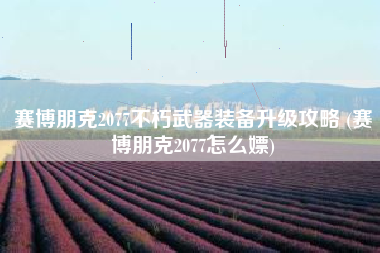 赛博朋克2077不朽武器装备升级攻略 (赛博朋克2077怎么嫖)