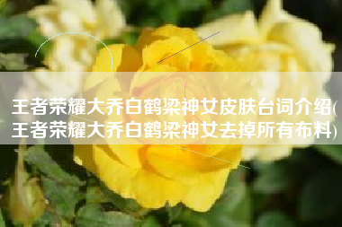 王者荣耀大乔白鹤梁神女皮肤台词介绍(王者荣耀大乔白鹤梁神女去掉所有布料)