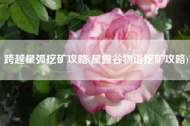 跨越星弧挖矿攻略(星露谷物语挖矿攻略)