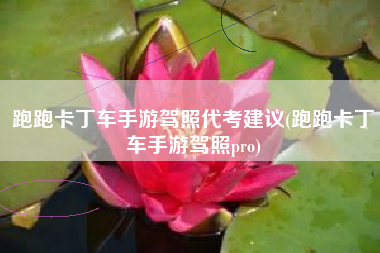 跑跑卡丁车手游驾照代考建议(跑跑卡丁车手游驾照pro)