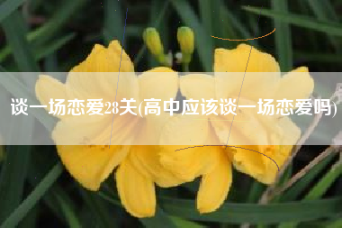 谈一场恋爱28关(高中应该谈一场恋爱吗)